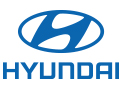 Used Hyundai in Elko
